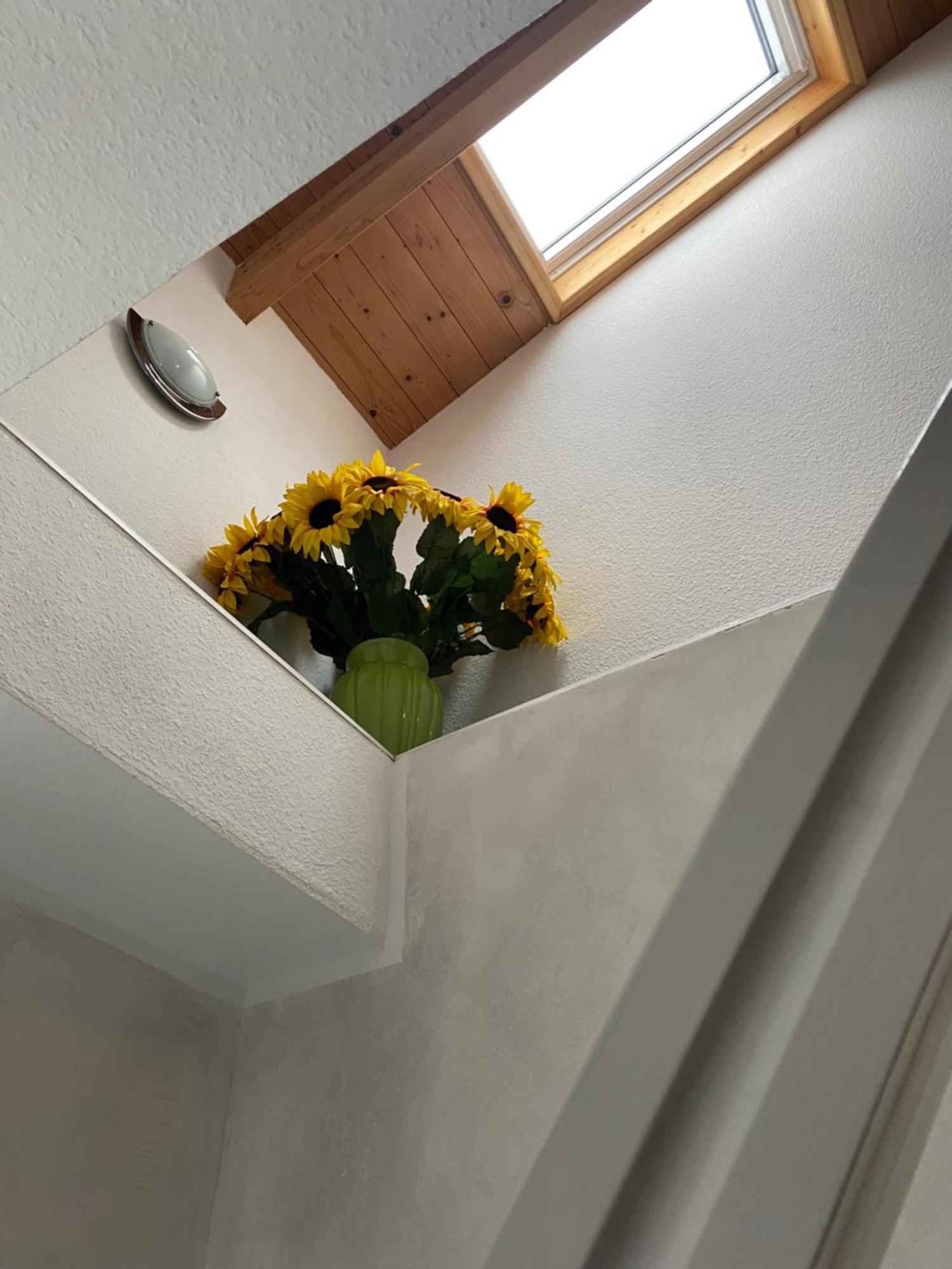 Haus Seewind Warnemuende รอสต็อค ภายนอก รูปภาพ